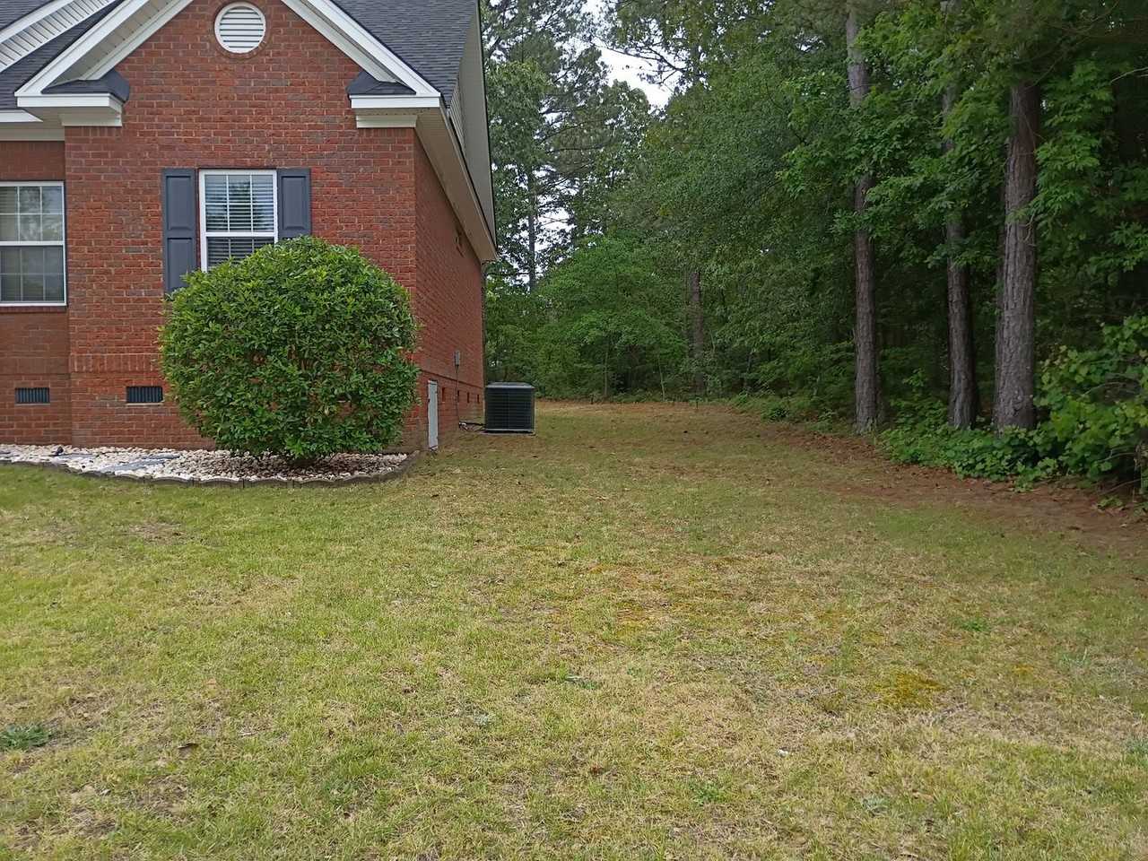 562 Vintage Pine Dr - Photo 4 of 49