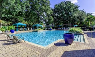featured image of 8800 Pine Forest Rd