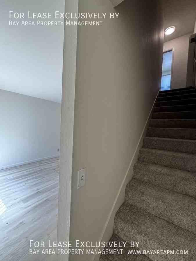 1146 Pierce St #3 - Photo 5 of 9