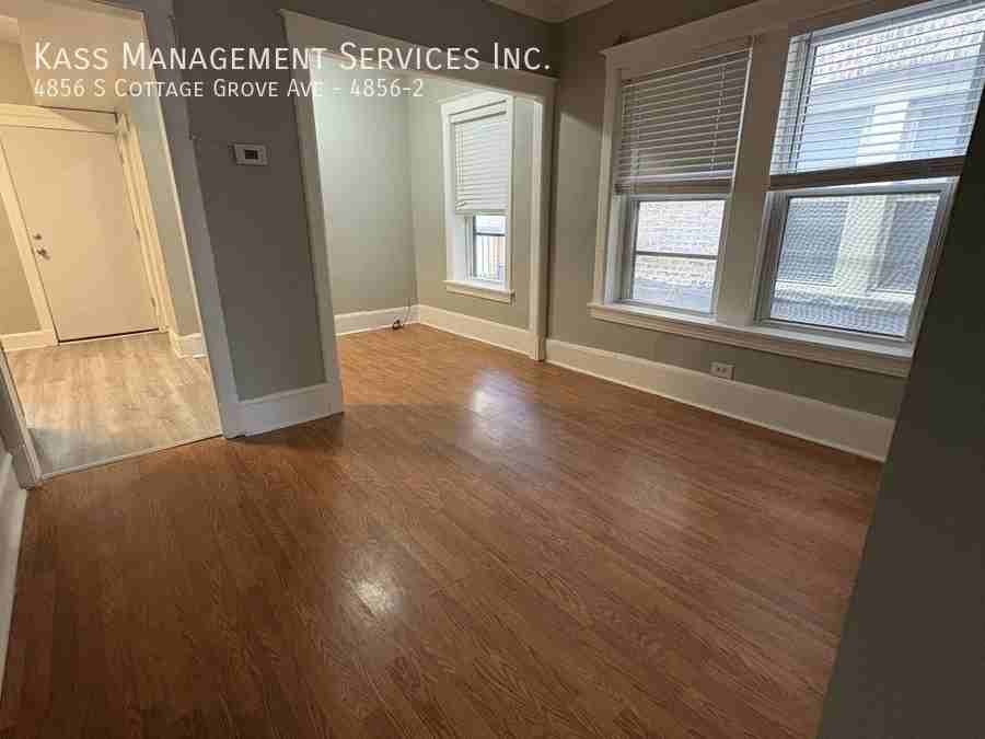 4856 S Cottage Grove Ave #4856-2 - Photo 2 of 13