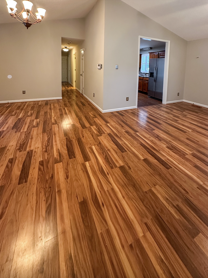 203 Polly Dr - Photo 4 of 25