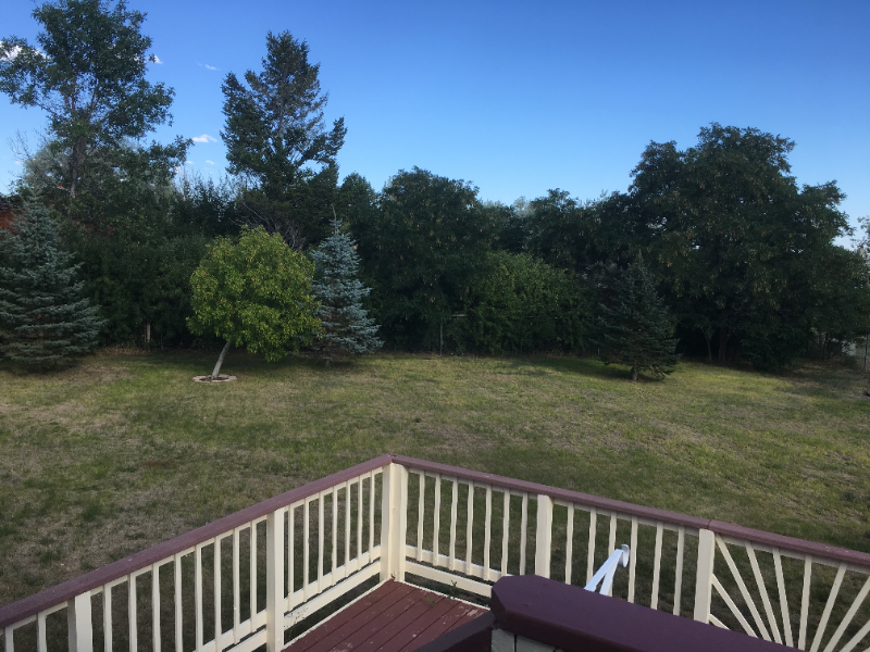 1019 Darter Rd - Photo 5 of 33