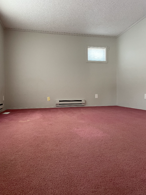1019 Darter Rd - Photo 7 of 33