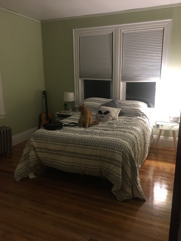 36 Newton St #2 - Photo 5 of 20