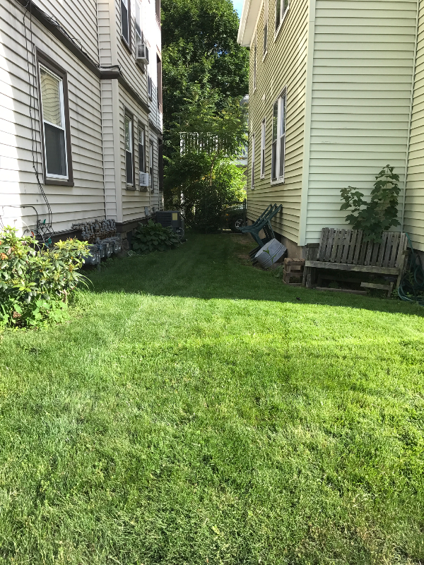 36 Newton St #2 - Photo 7 of 20
