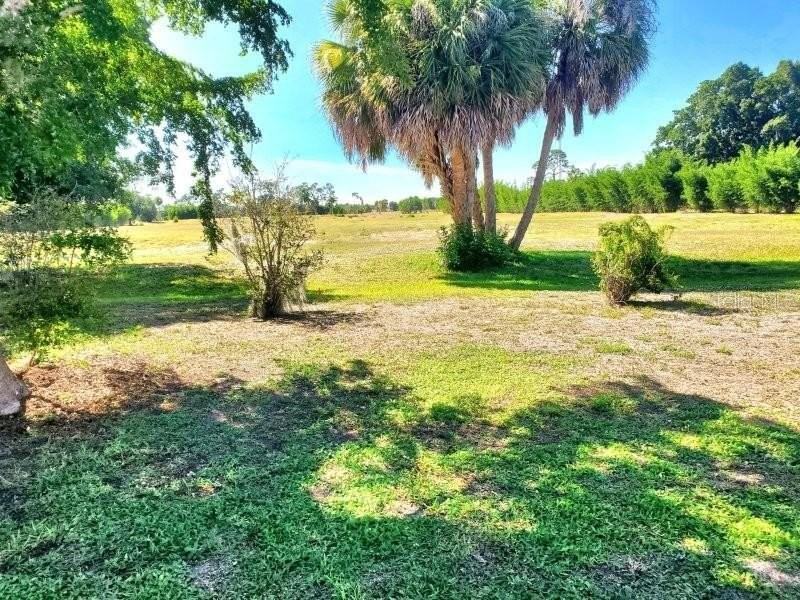 2451 Aquilos Ct - Photo 3 of 19