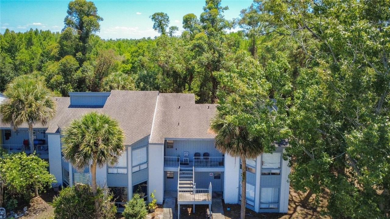 2636 Lemon Tree Ln #2636 - Photo 3 of 50
