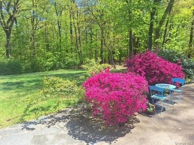 101 Gatto Ln - Photo 6 of 25