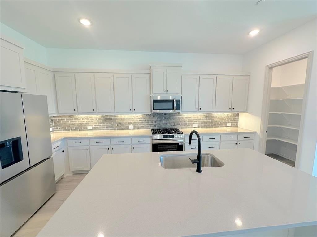 1730 Mugwort Dr - Photo 3 of 32