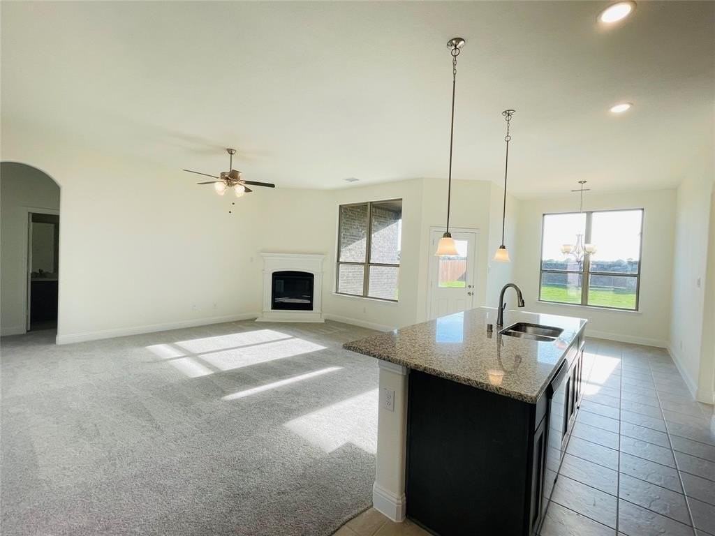 4009 Whitetail Ln - Photo 4 of 18