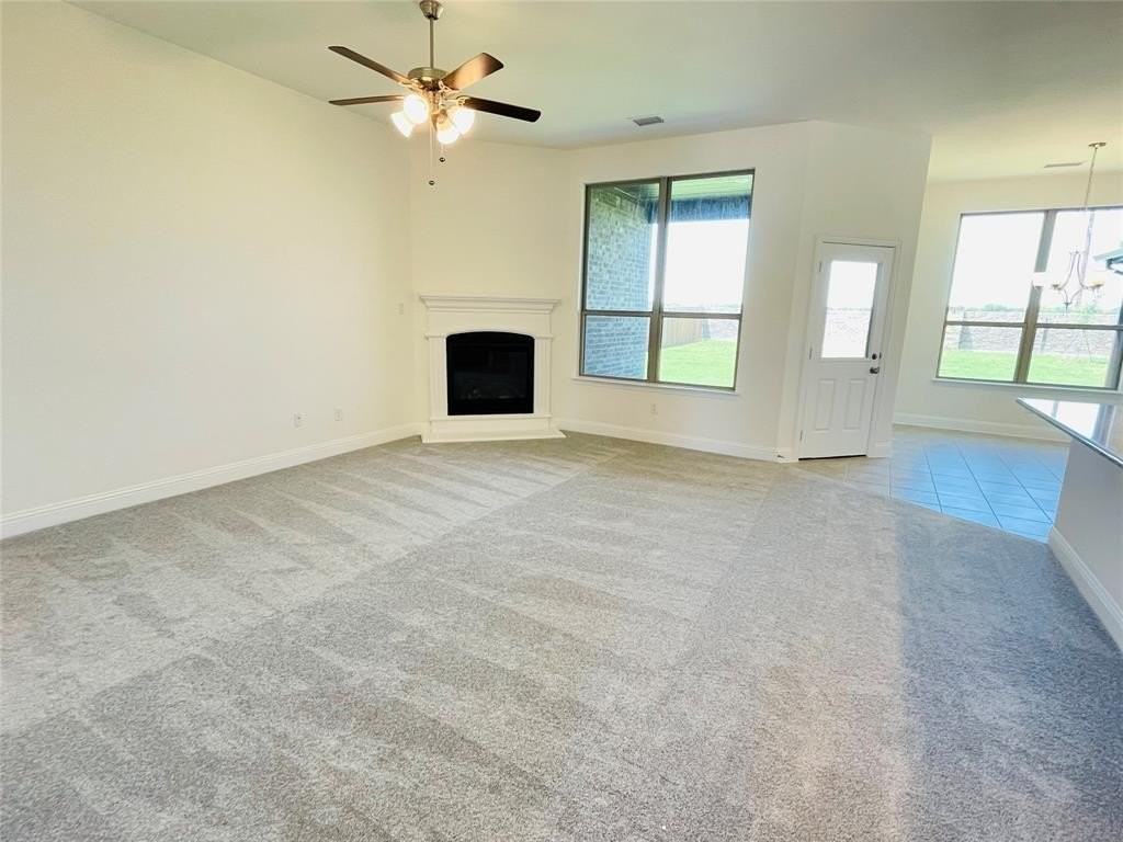 4009 Whitetail Ln - Photo 5 of 18