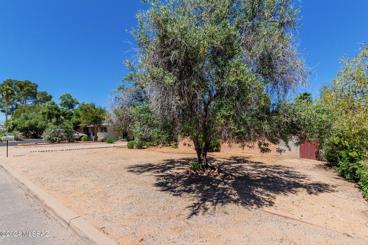 5255 E Baker St - Photo 4 of 36