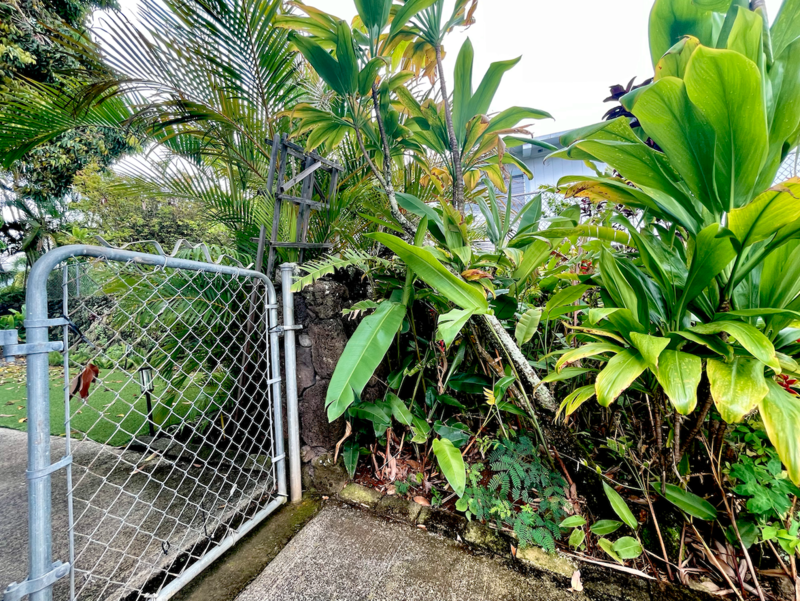 1508 Keolu Dr - Photo 5 of 47