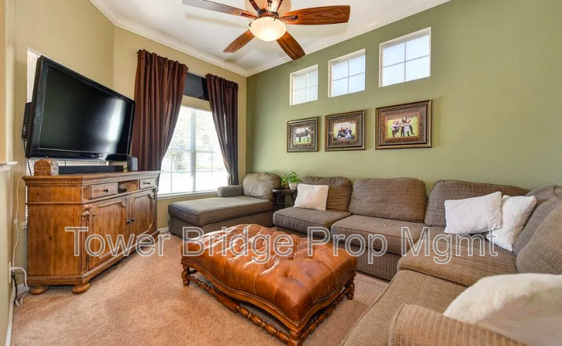 42 Striped Moss Ct - Photo 4 of 22