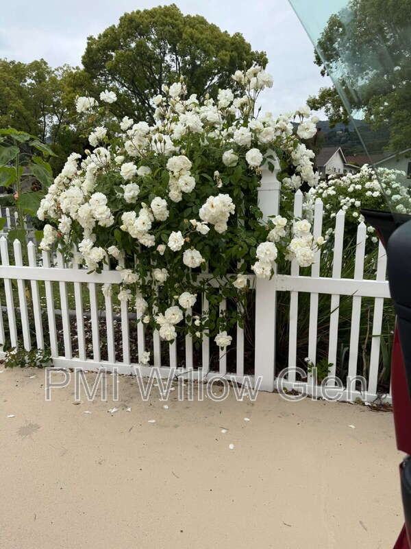 140 Belwood Ct - Photo 6 of 25
