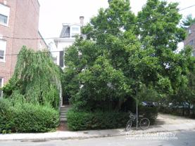 50 Langdon St #3 - Photo 1 of 1