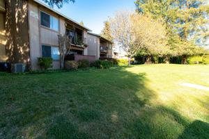featured image of 430 Ellesmere Dr