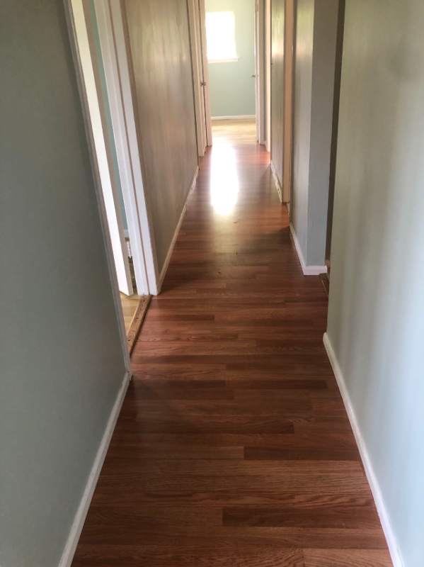 387 College Dr - Photo 3 of 13