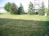 0 Maple Grove Dr #2 - Photo 3 of 19