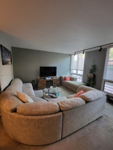 263 Greene St #263 - Photo 4 of 21