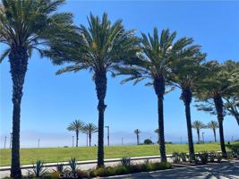 featured image of 34132 Selva Rd #250
