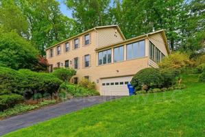 featured image of 1436 Ironwood Dr