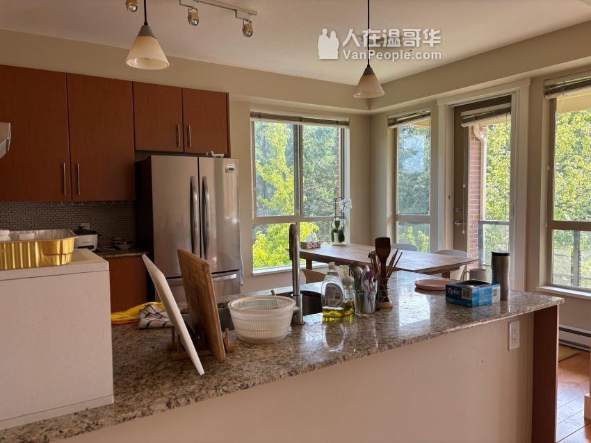 6268 Eagles Drive #301 - Photo 4 of 18