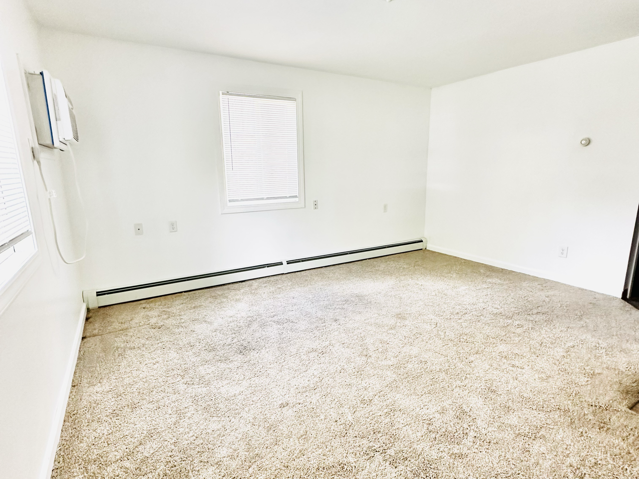 729 Buchanan Ave #1 - Photo 4 of 8