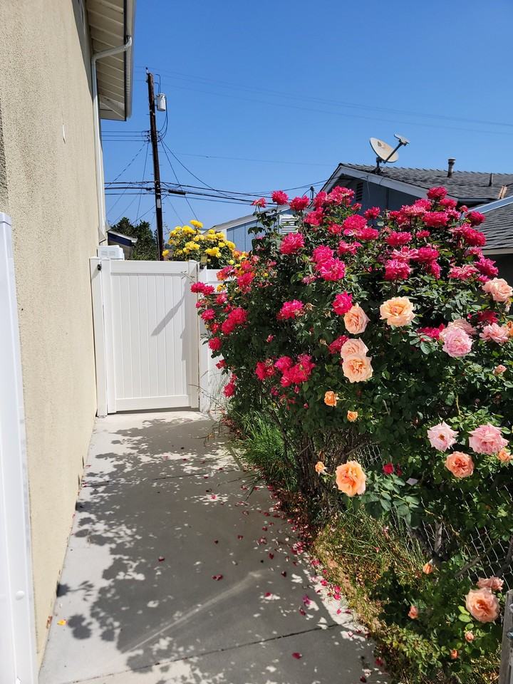 22235 Burton St - Photo 2 of 12