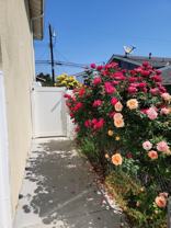 91304 Canoga Ave - Photo 1 of 1
