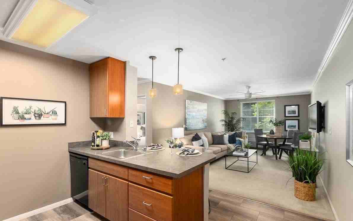 1435 India St - Photo 6 of 6