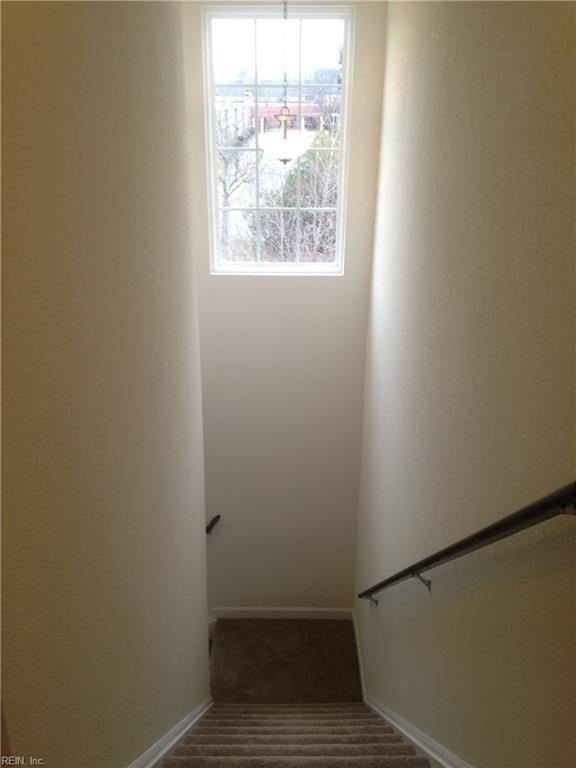 516 Abelia Way - Photo 7 of 17