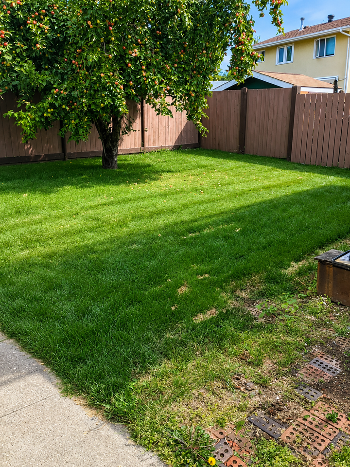116 Akins Dr #1 - Photo 5 of 10