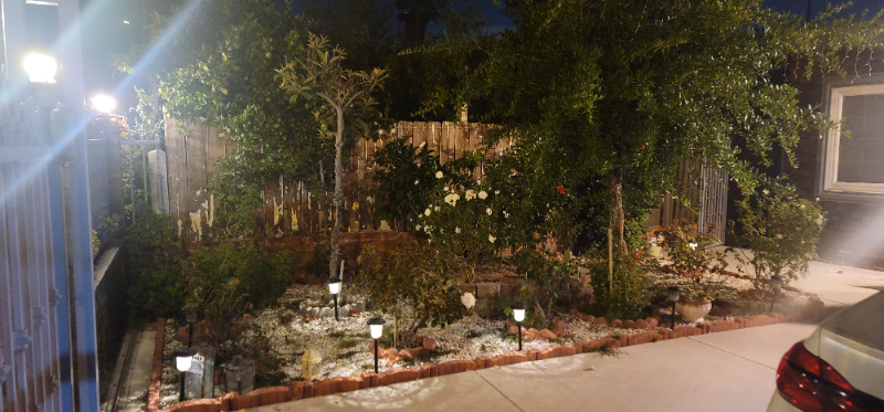 10019 Tujunga Canyon Blvd - Photo 2 of 18