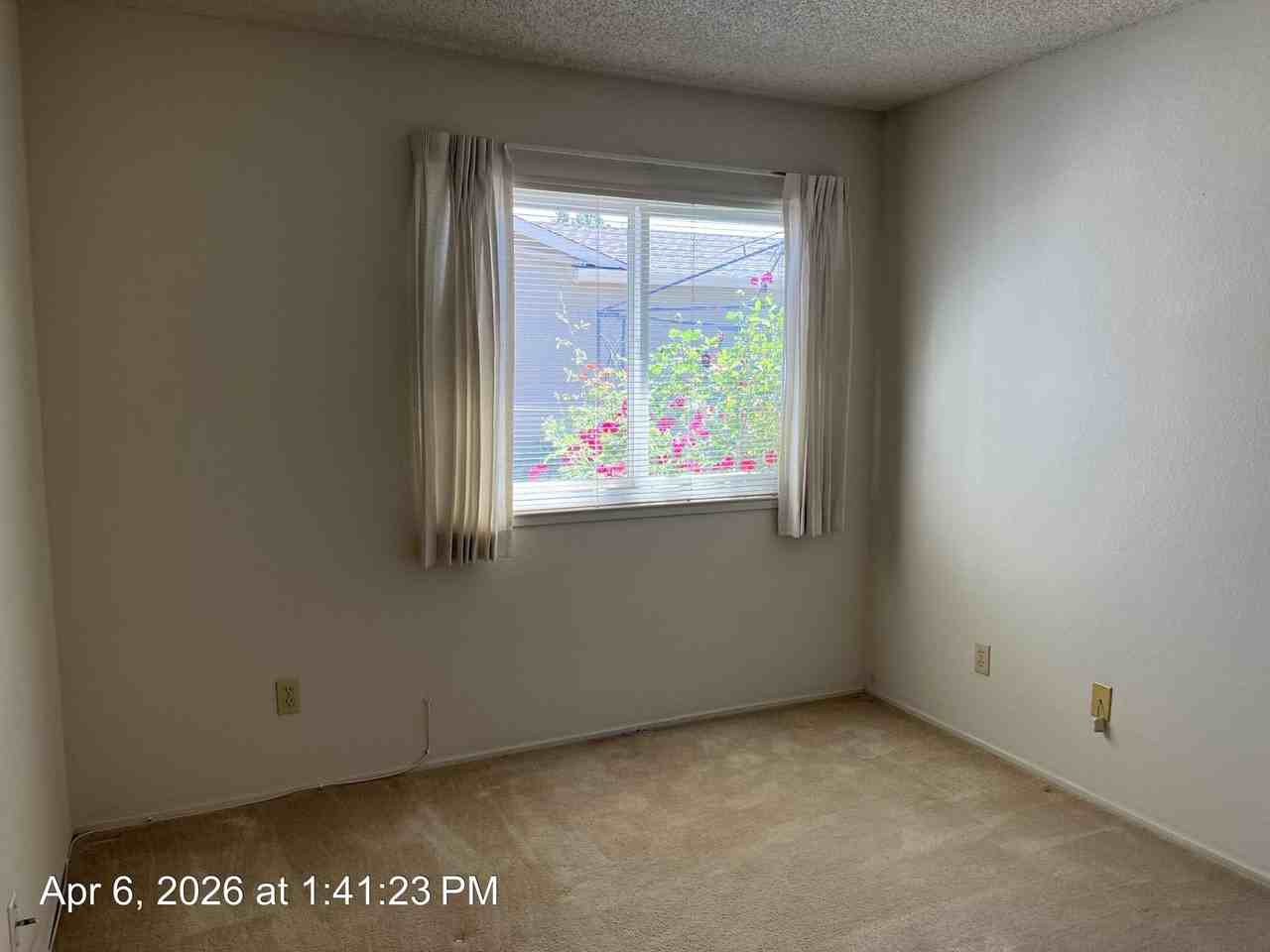 7630 Suncountry Ln - Photo 4 of 11