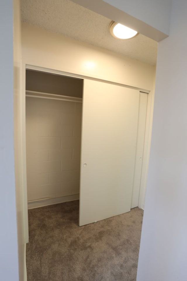 1626 Frog Ln #204 - Photo 5 of 17