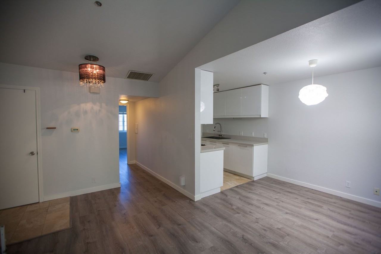 1010 San Antonio Cir - Photo 4 of 12