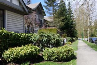 7503 18th Street - Photo 1 of 1