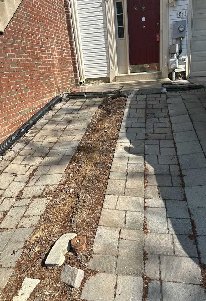 541 Primus Ct #541 - Photo 5 of 14