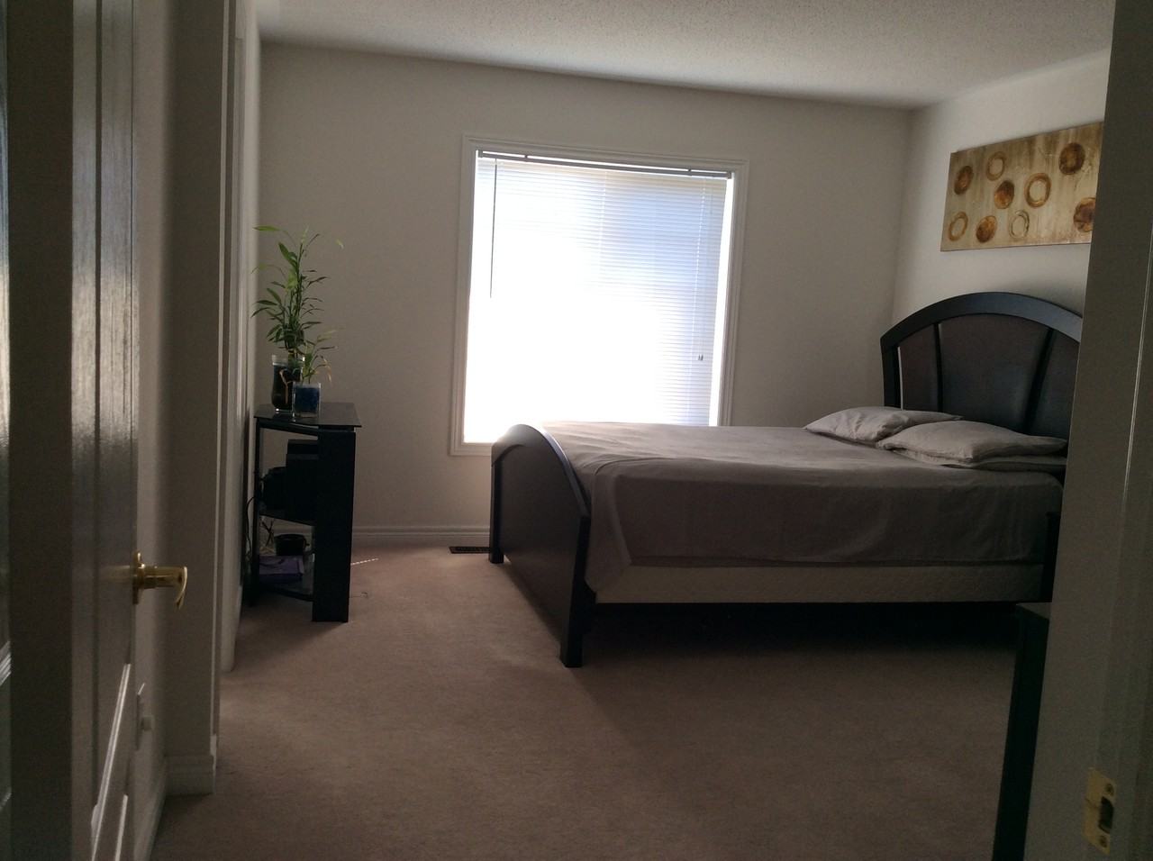 39 Palm Tree Road - Photo 5 of 17