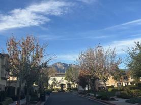 2830 E Via Fiano - Photo 1 of 1