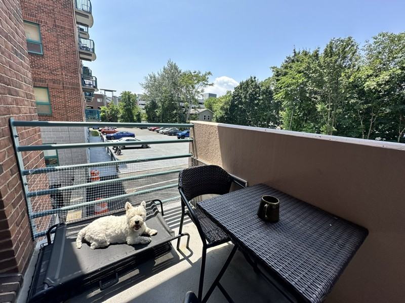 165 Cottage St #303 - Photo 6 of 28