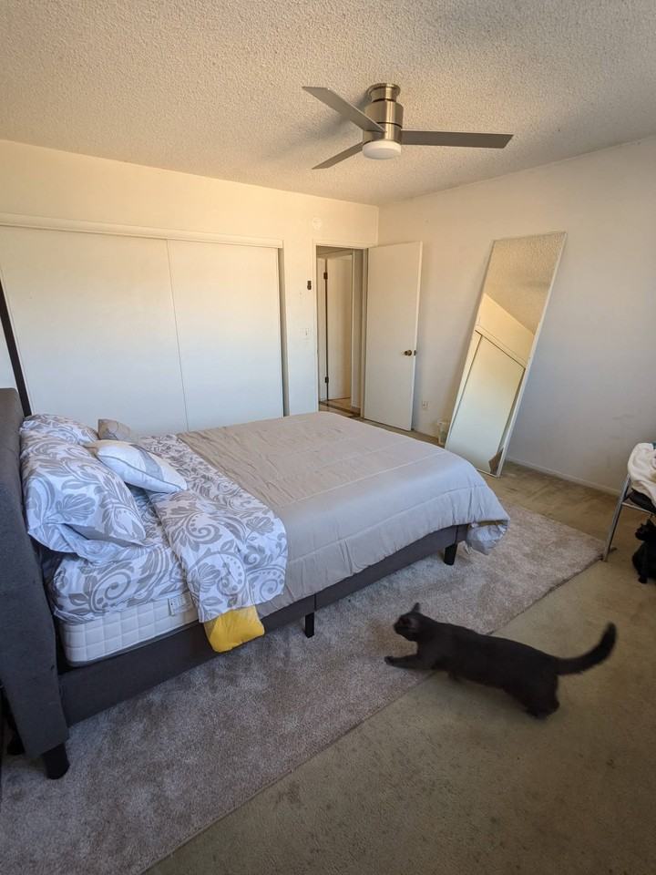 717 Strand St #8 - Photo 6 of 7