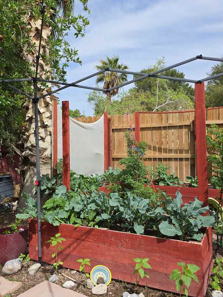 4009 San Diego St - Photo 2 of 17