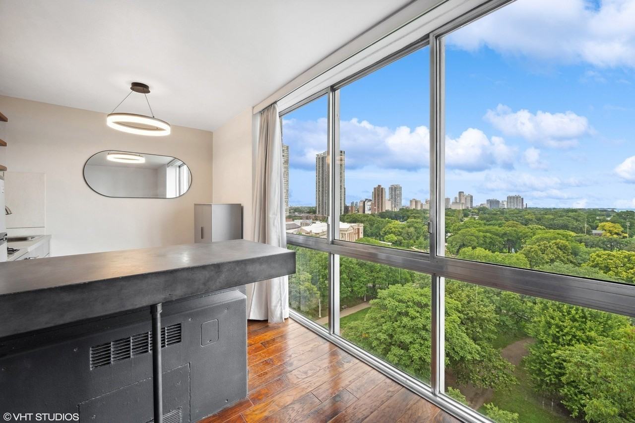 1555 N Dearborn Pkwy #11B - Photo 5 of 13