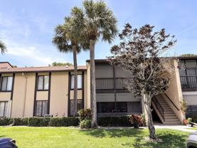 822 Sky Pine Way #C1 - Photo 1 of 1