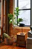 120 East 13th Street - Photo 1 of 1