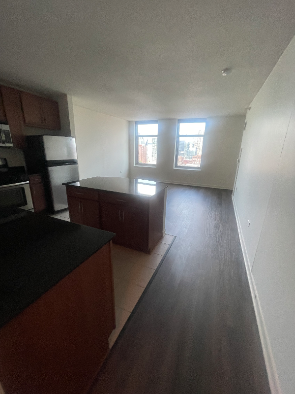 579 W Kinzie St - Photo 3 of 8