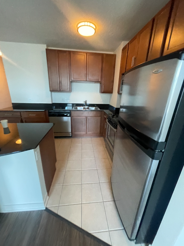579 W Kinzie St - Photo 4 of 8