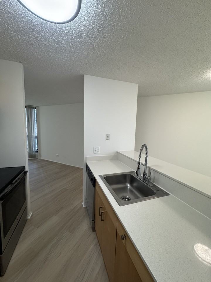 45 W Chicago Ave - Photo 3 of 10